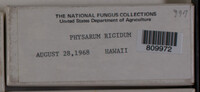 Image Associated With the Occurence